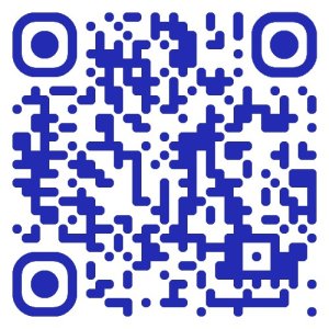 QR Code navy