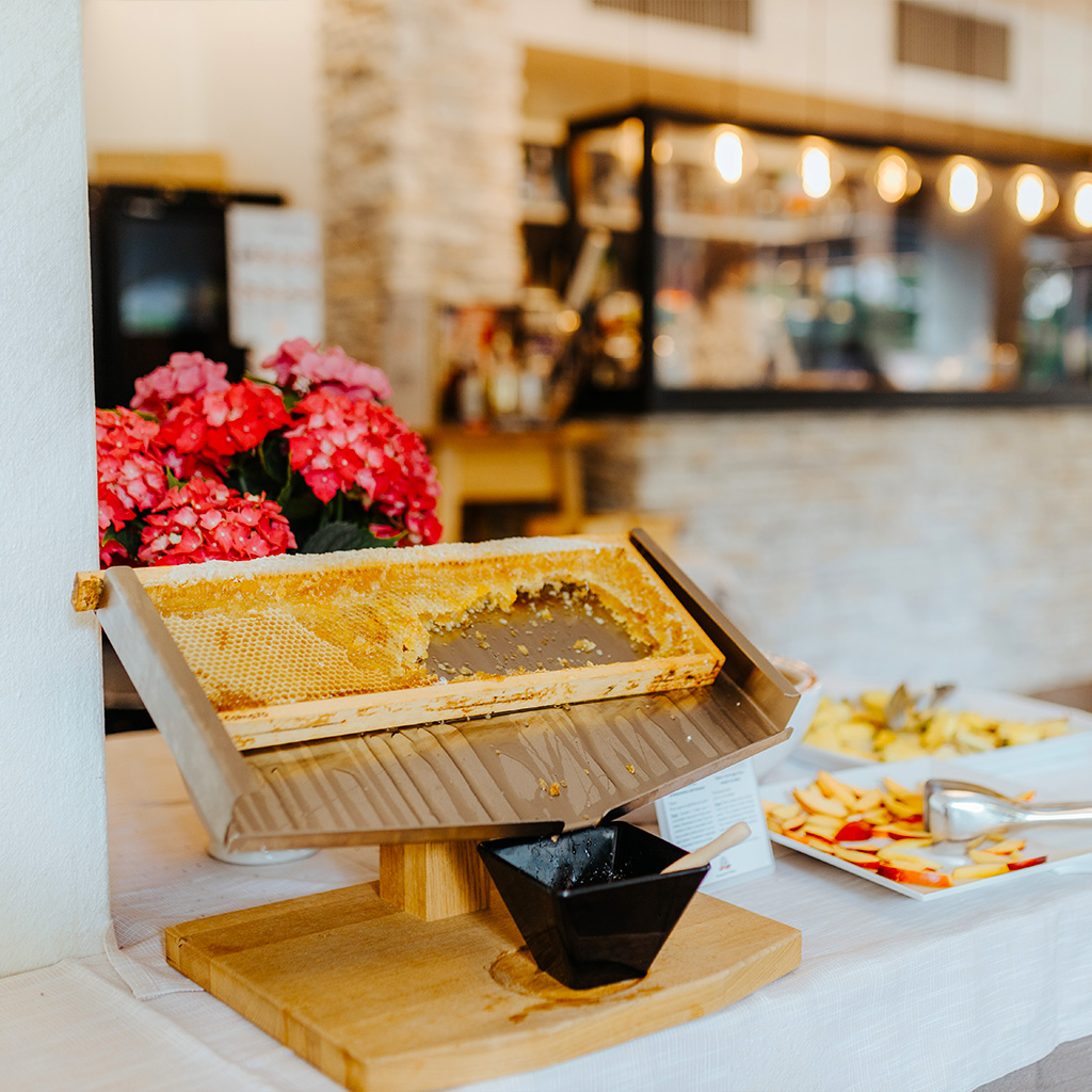 img-hoteladria
